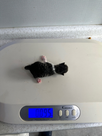 누리동물병원_426333202300257